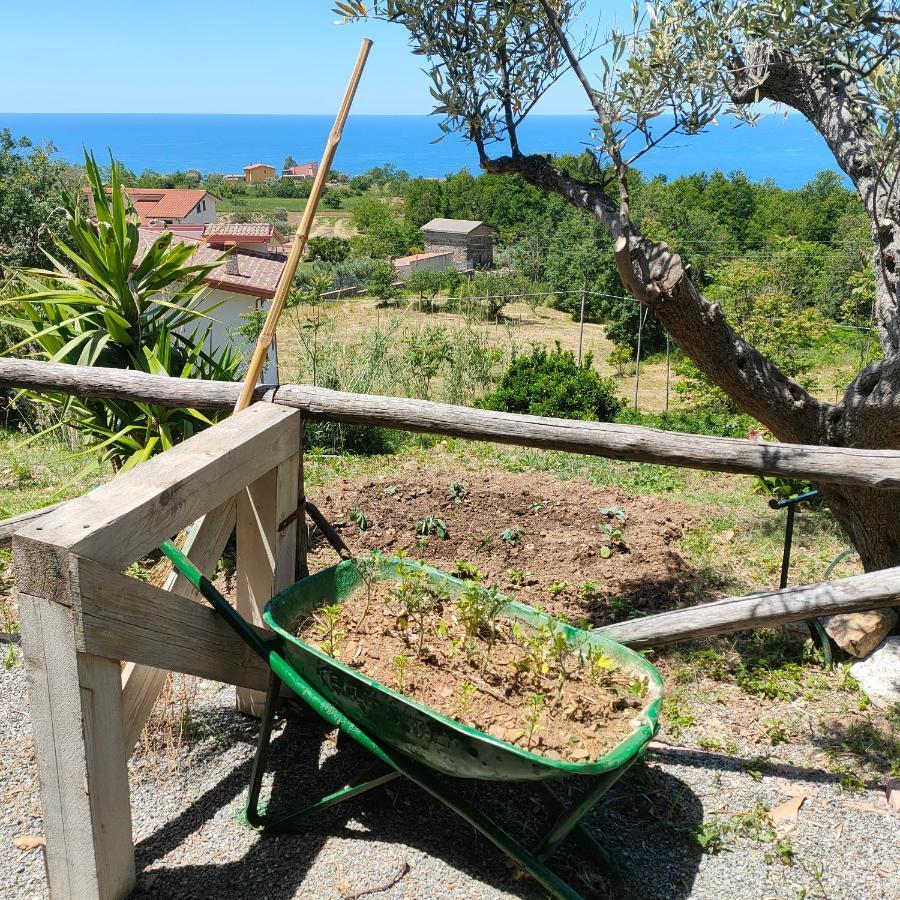Agriturismo Agri Armonia San Lucido Ngoại thất bức ảnh