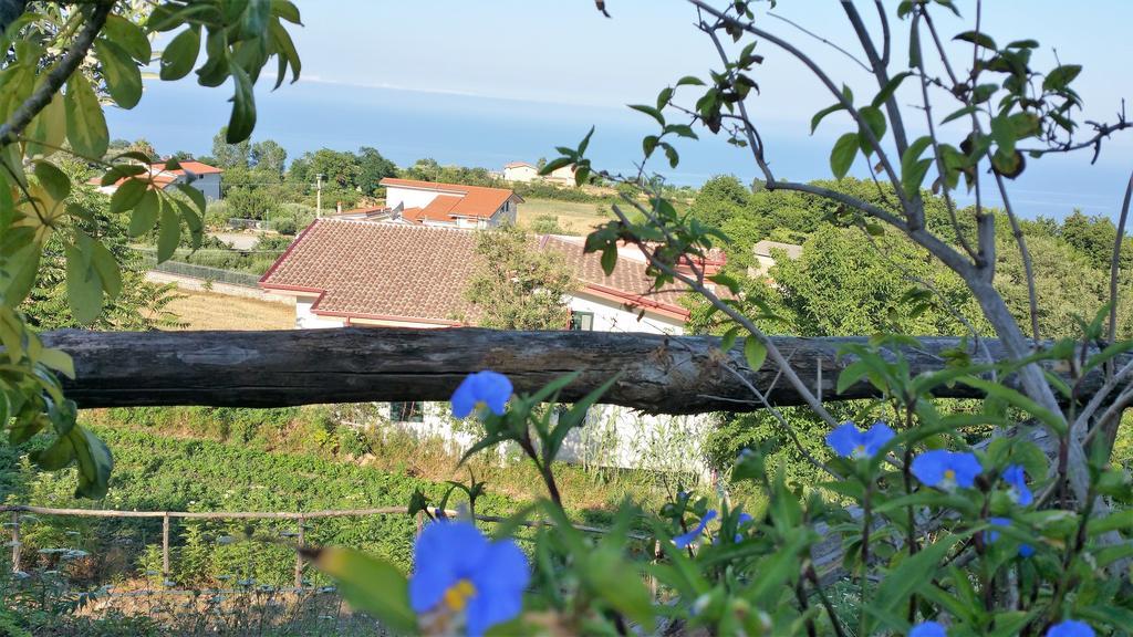 Agriturismo Agri Armonia San Lucido Ngoại thất bức ảnh