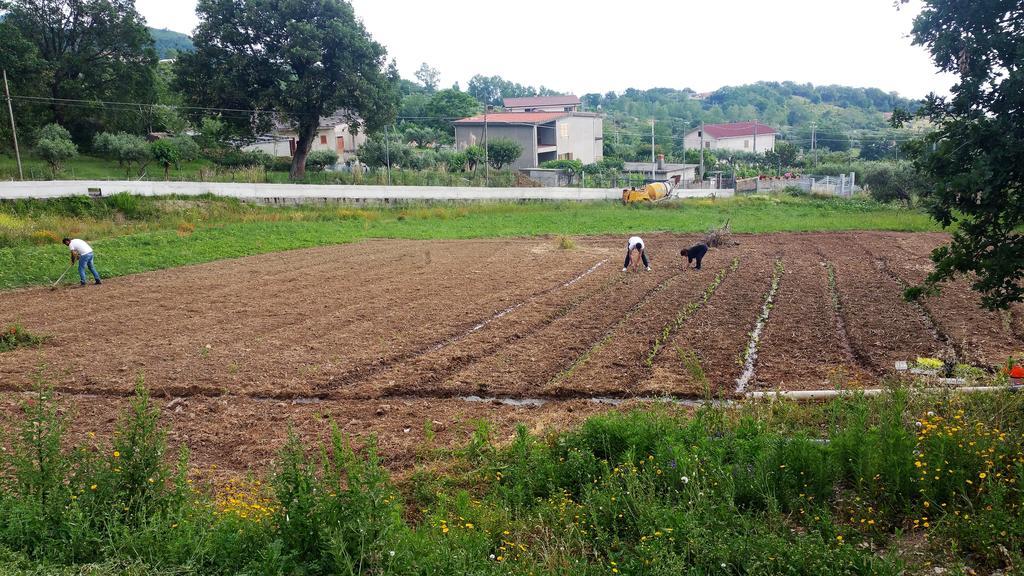 Agriturismo Agri Armonia San Lucido Ngoại thất bức ảnh